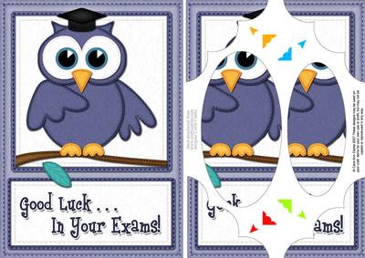 A5 Wise Owl Exam Good Luck Felties Scallop Corner N Pyramage