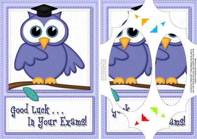 A5 Wise Owl Exam Good Luck Felties Scallop Corner N Pyramage
