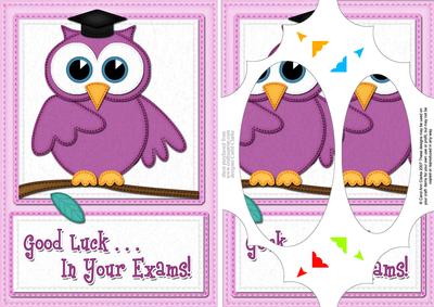 A5 Wise Owl Exam Good Luck Felties Scallop Corner N Pyramage
