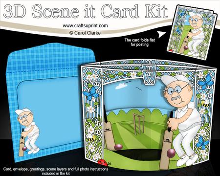 3D Bert Plays Cricket Scene It Card Kit