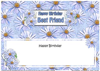 Birthday Best Friend Daisies Floral Large Dl Matching Insert