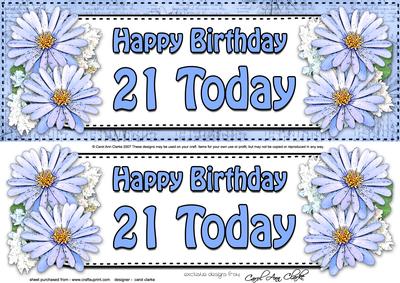 Large Dl Birthday 21 Today Daisies Card & 3D Decoupage