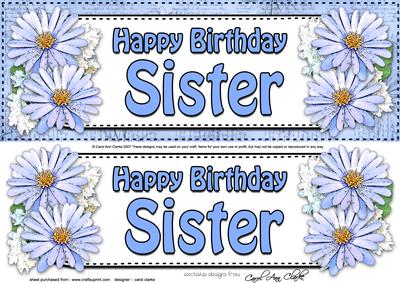 Large Dl Birthday Sister Daisies Floral 3D Decoupage