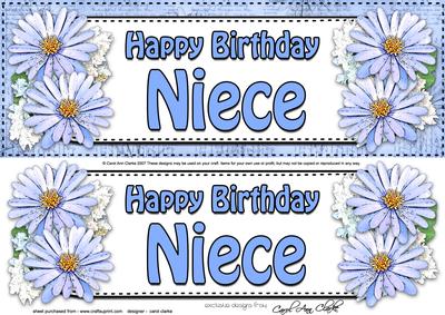 Large Dl Birthday Niece Daisies Floral 3D Decoupage