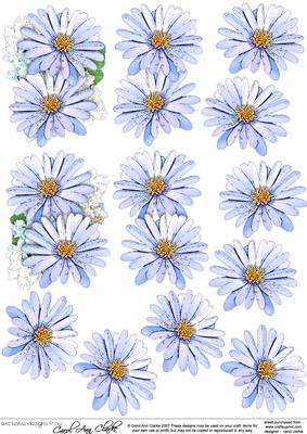 Pretty Daisy Floral 3D Decoupage Designs