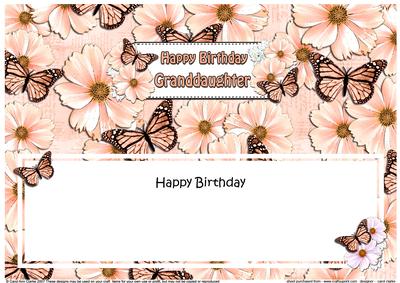 Birthday Granddaughter Floral Butterflies Large Dl Insert