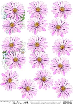 Pretty Daisy Floral 3D Decoupage Designs