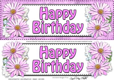 Large Dl Birthday Daisies Floral 3D Decoupage