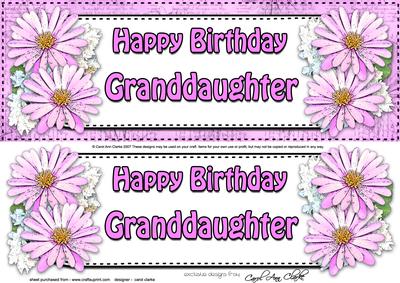 Large Dl Birthday Granddaughter Daisies Floral 3D Decoupage