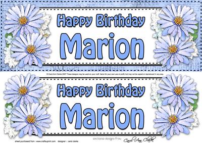 Large Dl Birthday Marion Daisies Floral 3D Decoupage