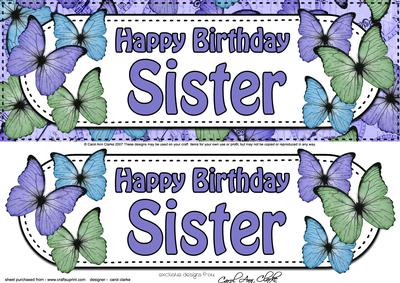 Large Dl Birthday Sister Butterflies Card & 3D Decoupage