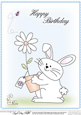 A4 Little Bunny - Birthday