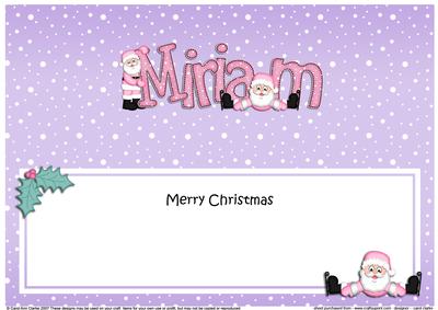 Merry Christmas Miriam Santa Matching Large Dl Insert