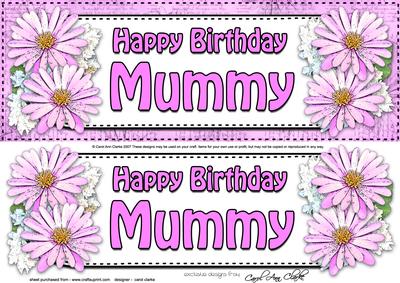 Large Dl Birthday Mummy Daisies Floral 3D Decoupage