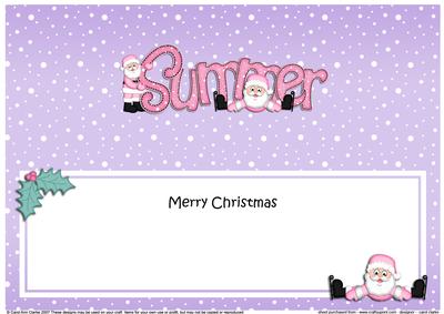 Merry Christmas Summer Santa Matching Large Dl Insert