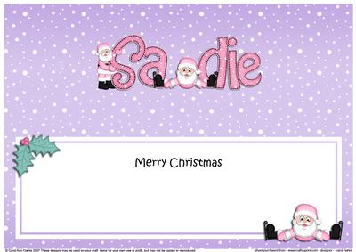 Merry Christmas Sadie Santa Matching Large Dl Insert