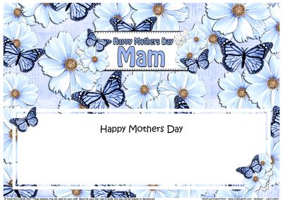 Mothers Day Mam Floral Butterflies Large Dl Matching Insert