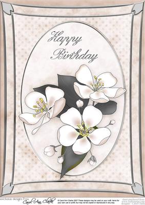 A4 Apple Blossom - Birthday