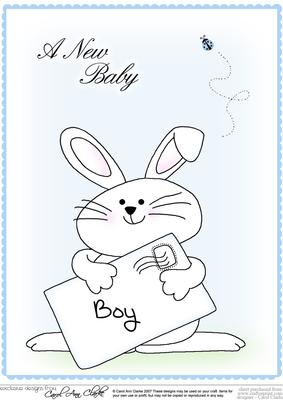A4 Little Bunny - New Baby Boy