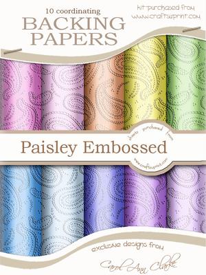 'paisley Embossed' Sorbet Baby Backing Paper Kit