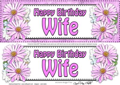 Large Dl Birthday Wife Daisies Floral 3D Decoupage