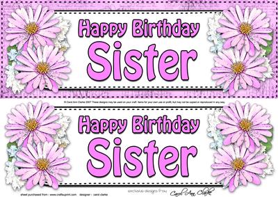 Large Dl Birthday Sister Daisies Floral 3D Decoupage