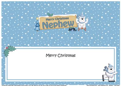 Xmas Nephew Polar Bear Signpost Large Dl Matching Insert
