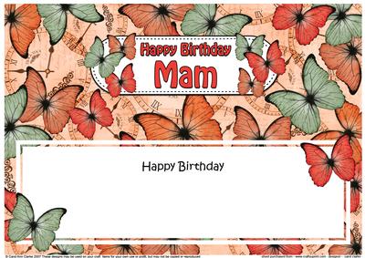 Birthday Mam Butterflies Large Dl Matching Insert