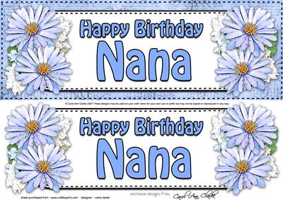 Large Dl Birthday Nana Daisies Floral 3D Decoupage