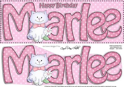 Large Dl Birthday Marlee Cat Card & 3D Decoupage