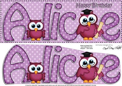Large Dl Birthday Alice Hoot Owls Card & 3D Decoupage