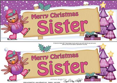 Xmas Sister Robin Signpost Large Dl Easicut 3D Decoupage