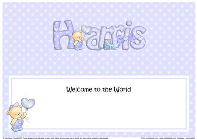 New Baby Harris Teddy Matching Large Dl Insert