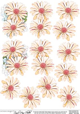 Pretty Daisy Floral 3D Decoupage Designs