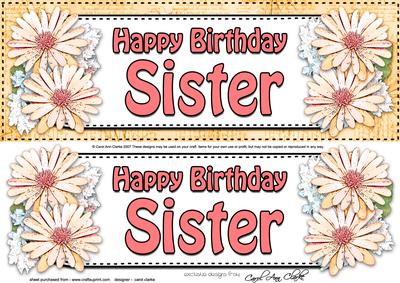 Large Dl Birthday Sister Daisies Floral 3D Decoupage