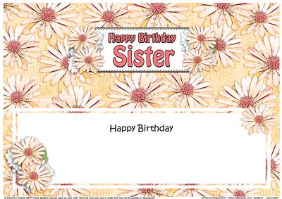 Birthday Sister Daisies Floral Large Dl Matching Insert