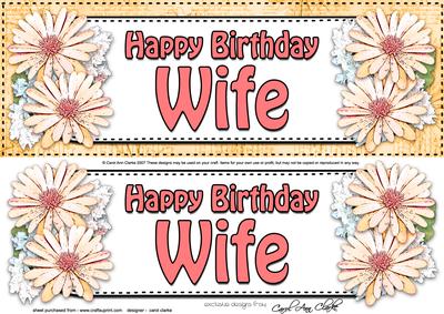 Large Dl Birthday Wife Daisies Floral 3D Decoupage