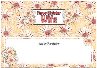 Birthday Wife Daisies Floral Large Dl Matching Insert