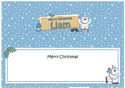 Xmas Liam Polar Bear Signpost Large Dl Matching Insert