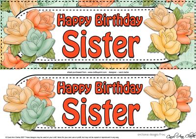 Large Dl Happy Birthday Sister Roses Card & 3D Decoupage