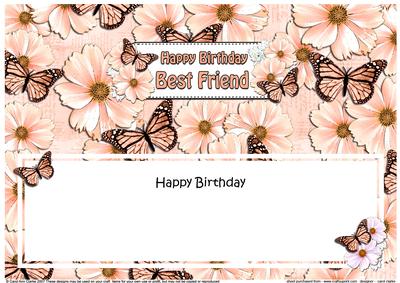 Birthday Best Friend Floral Butterflies Large Dl Insert
