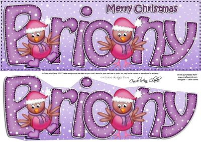 Merry Christmas Briony Robins Large Dl & 3D Decoupage