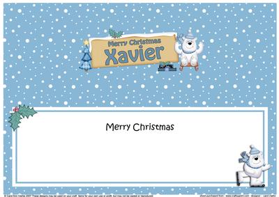 Xmas Xavier Polar Bear Signpost Large Dl Matching Insert