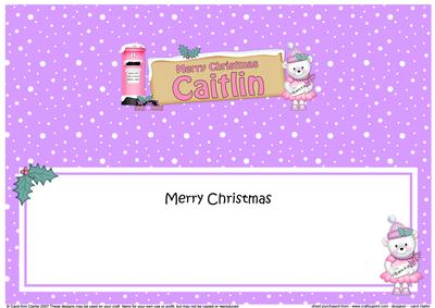 Xmas Caitlin Teddy Tess Signpost Large Dl Matching Insert