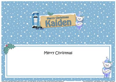 Xmas Kaiden Teddy Ed Signpost Large Dl Matching Insert
