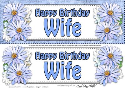 Large Dl Birthday Wife Daisies Floral 3D Decoupage