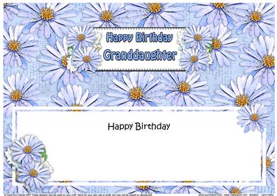 Birthday Granddaughter Daisies Floral Large Dlinsert