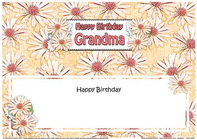 Birthday Grandma Daisies Floral Large Dl Matching Insert