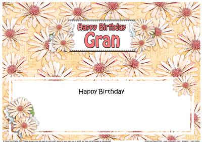 Birthday Gran Daisies Floral Large Dl Matching Insert