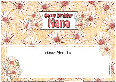 Birthday Nana Daisies Floral Large Dl Matching Insert